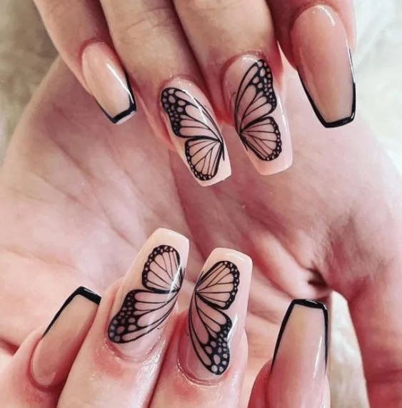 Black and Butterfly Accents